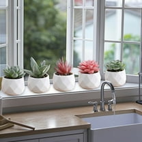 Leodye Fake Succulent Plant Set - Artificial Plants for Women Desk - Realistic Faux Succulents in Ceramic Pots - Mini Green Decor for Bedroom Bathroom office Shelf