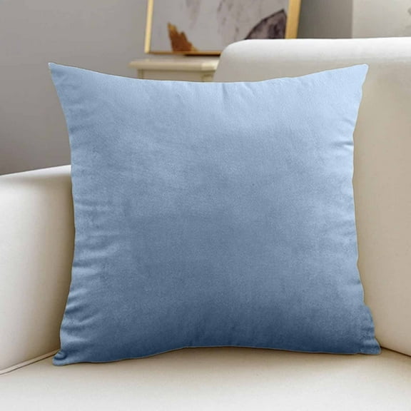 Leodye Velvet Throw Pillow Covers, Set of 1, 17x17 Decorative Square Pillows Home Decor, Soft Accent Cases, Silky Machine Washable Pillowcases for Sofa, Couch, Bedroom, Living Room