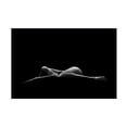 thumbnail image 1 of Leon Schroder 'Bodyscape' Canvas Art, 1 of 4