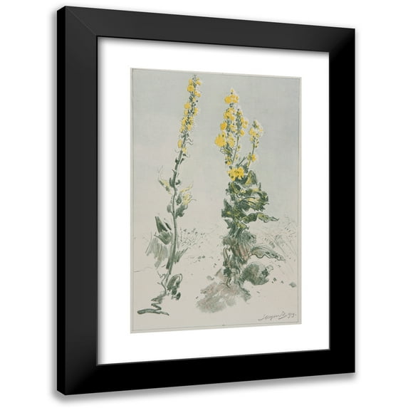 Leon Wyczółkowski 11x14 Black Modern Framed Museum Art Print Titled - Mullein (1919)