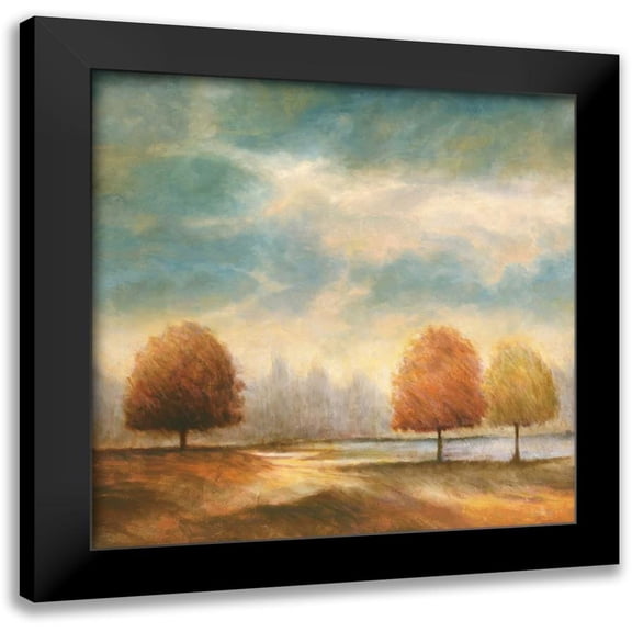 Leonard, Jeffrey 12x12 Black Modern Framed Museum Art Print Titled - Light and Shadows II