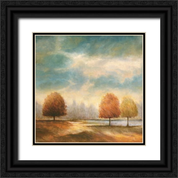 Leonard, Jeffrey 20x20 Black Ornate Wood Framed with Double Matting Museum Art Print Titled - Light and Shadows II