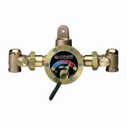 Leonard Valve Steam and Water Mixing Valve,Brass TMS-50-RF