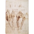 thumbnail image 1 of Leonardo: Anatomy, C1510. /Npen And Ink Studies By Leonardo Da Vinci, Of The Muscles In The Arm, Shoulder, And Neck, C1510-11. Poster Print by  (18 x 24), 1 of 1