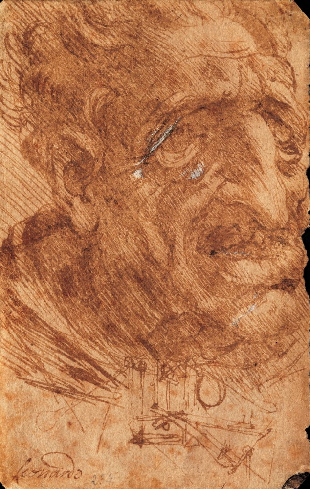 Leonardo Da Vinci Canvas Art - (18 x 24)