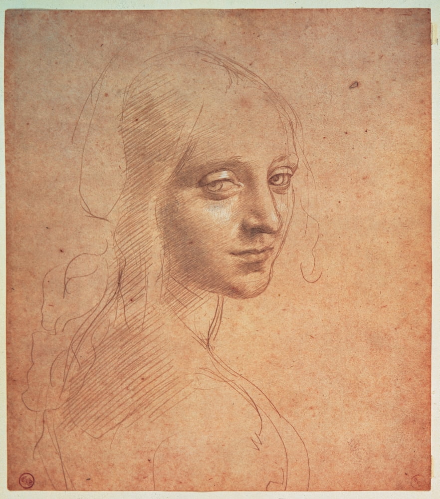 Leonardo Da Vinci Canvas Art - (24 x 36)
