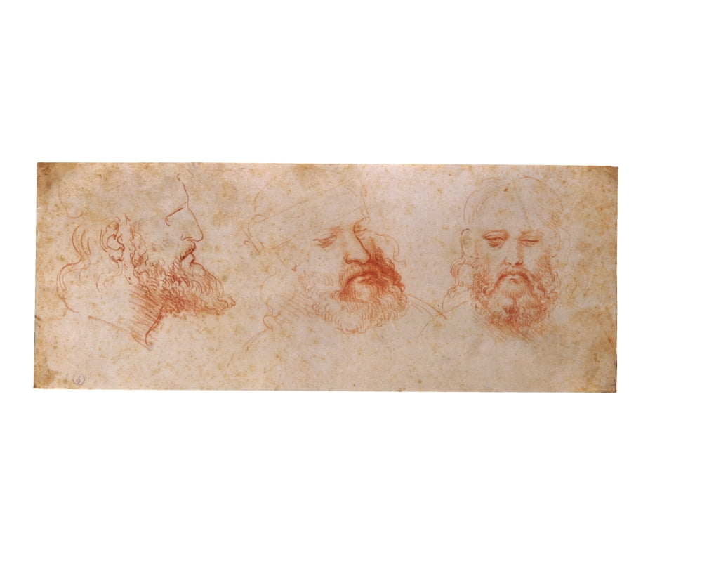 Leonardo Da Vinci Canvas Art - (36 x 24)