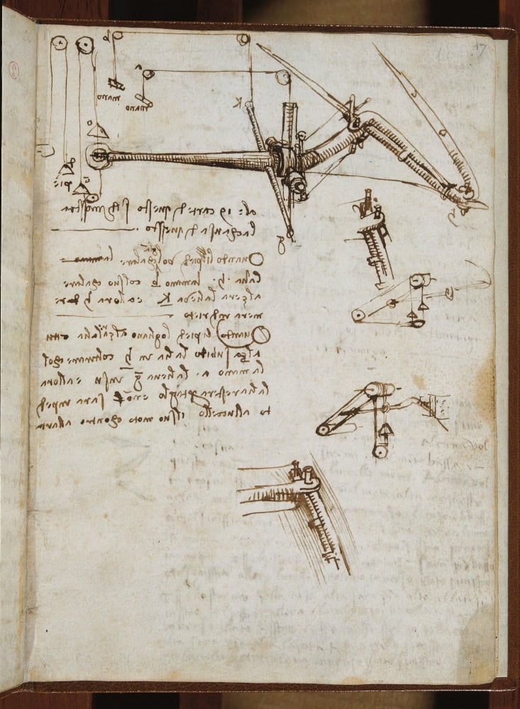 (Leonardo Da Vincis) Codex On The Flight Of Birds Canvas Art - (18 x 24)