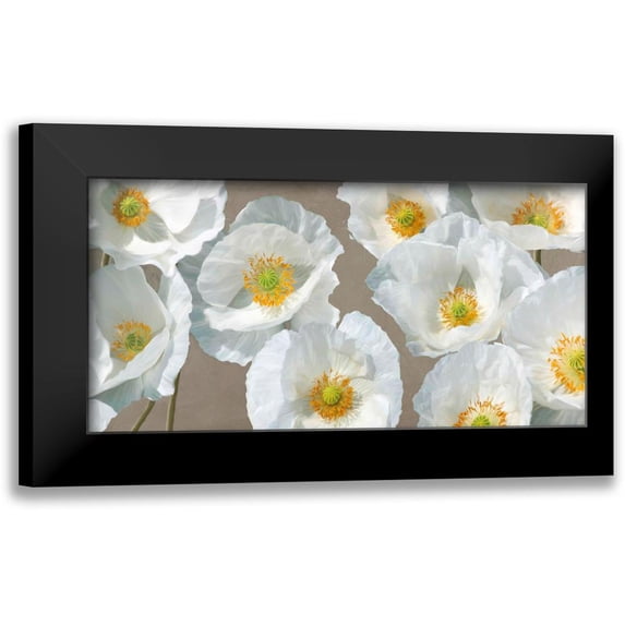 Leonardo, Sanna 24x14 Black Modern Framed Museum Art Print Titled - Poppy Arrangement (Taupe)