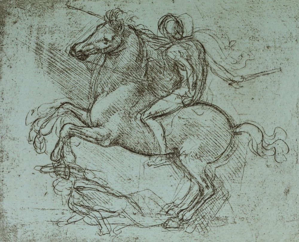 Leonardo da Vinci 1883 Horse study Canvas Art - Leonardo Da Vinci (18 x 24)