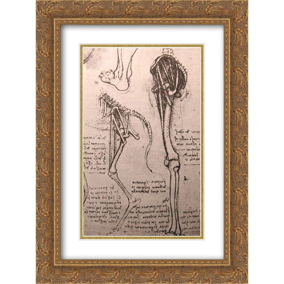 Leonardo da Vinci 2x Matted 18x24 Gold Ornate Framed Art Print 'Drawing of the comparative anatomy of the legs of a man and a dog'