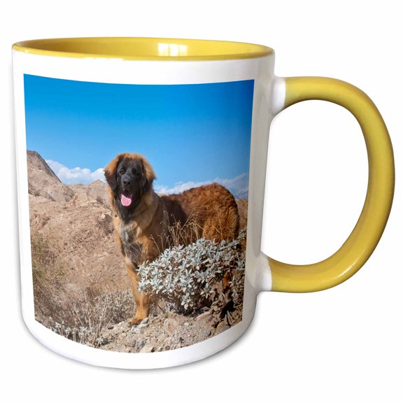 3drose, Leonberger in Desert, Pr, 11oz Two-tone Yellow Mug