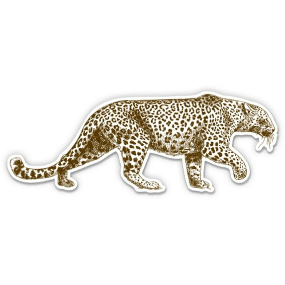 Leopard - 8