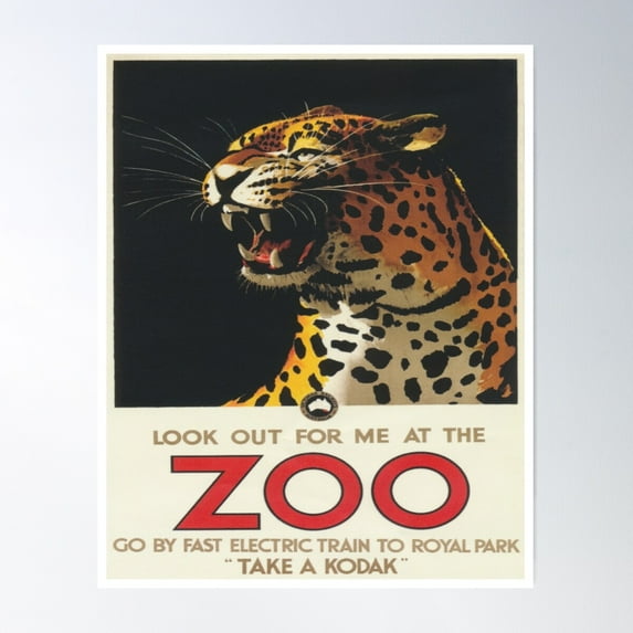 Leopard At Zoo Vintage Poster Poster Wall Art, Modern Wall Decor For Living Room Bedroom, 16x24 UNFRAMED