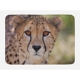 thumbnail image 1 of Leopard Bath Mat, Close up Image of Cheetah with Deep Brown Eyes on a Blurred Background Wildlife, Plush Bathroom Decor Mat with Non Slip Backing, 29.5" X 17.5", Multicolor, by Ambesonne, 1 of 2