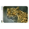 thumbnail image 1 of Leopard Big Cat Home Business Office Sign, 1 of 4
