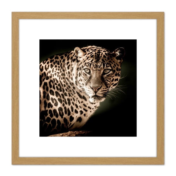 Leopard Big Cat Spots Photo 8X8 Inch Square Wooden Framed Wall Art Print Picture with Mount