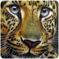 thumbnail image 1 of Leopard Face [3 Pack] of Vinyl Decal Stickers | 5" | Indoor/Outdoor | Funny decoration for Laptop, Car, Garage , Bedroom, Offices | SignMission, 1 of 1