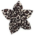 thumbnail image 1 of Leopard Flower, 1 of 1