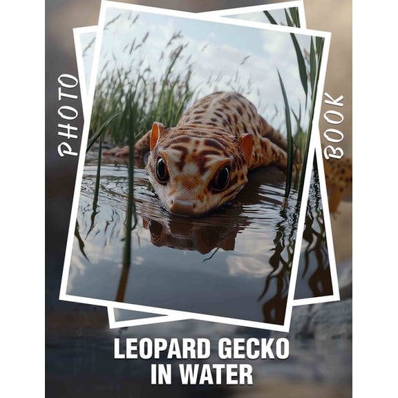 Leopard Gecko In Water Photo Book: 40 Vibrant Images Highlighting The Unique Habitats And Behaviors Of Leopard Geckos, (Paperback)