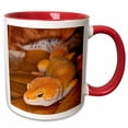 thumbnail image 1 of 3drose, Leopard Gecko Morph, Lizard, Pakistan-as28 Aje0000 - Adam Jones, 15oz Two-tone Red Mug, 1 of 6