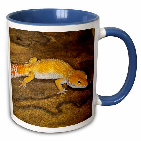 3drose, Leopard Gecko Morph, Lizard, Pakistan-as28 Aje0001 - Adam Jones, 15oz Two-tone Blue Mug