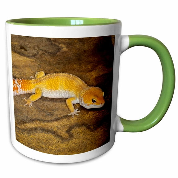 3drose, Leopard Gecko Morph, Lizard, Pakistan-as28 Aje0001 - Adam Jones, 15oz Two-tone Green Mug