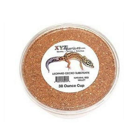 Leopard Gecko Substrate