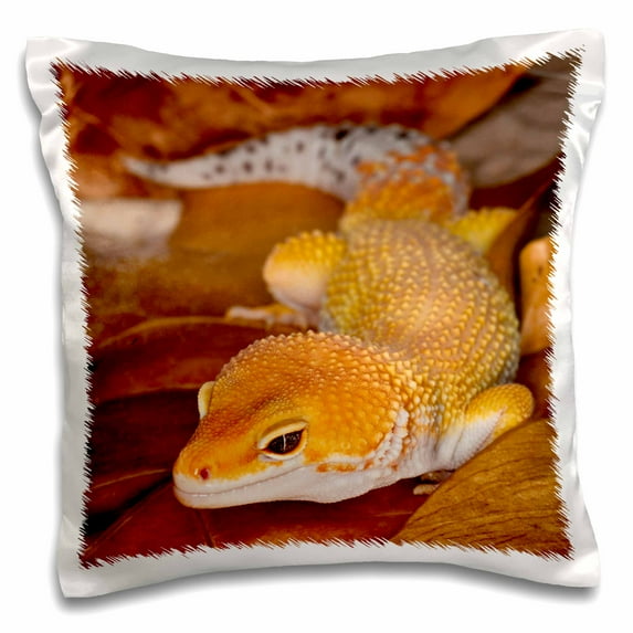 3drose, Leopard Gecko Morph, Lizard, Pakistan-as28 Aje0000 - Adam Jones, 16x16 inch Pillow Case