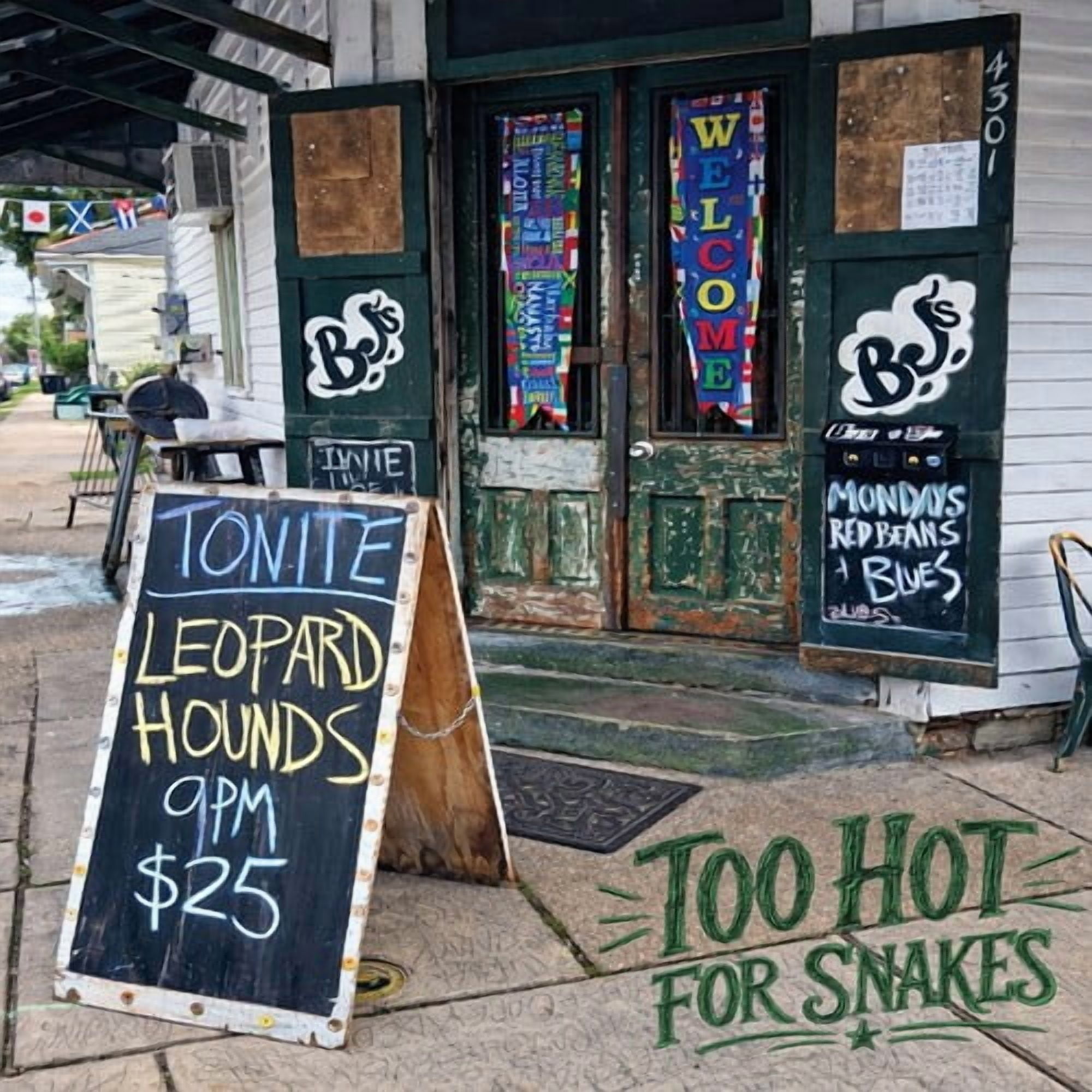 Leopard Hounds - Too Hot for Snakes - Music & Performance - CD