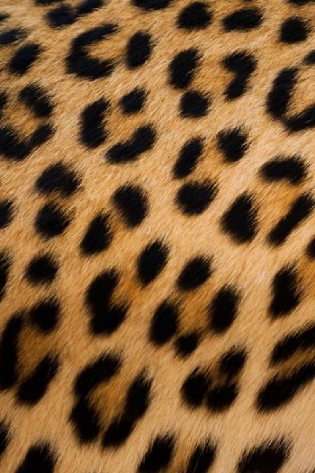 Leopard Okavango Delta Botswana Canvas Art - Art Wolfe DanitaDelimont (12 x 17)