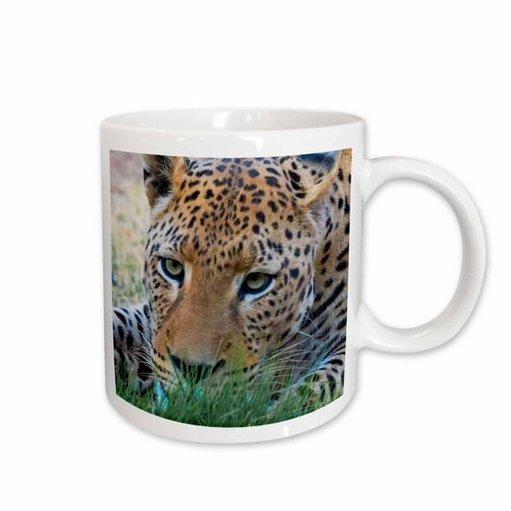 3drose, Leopard, Okonjima Nature Reserve. Otjozondjupa Region, Namibia., 11oz Mug