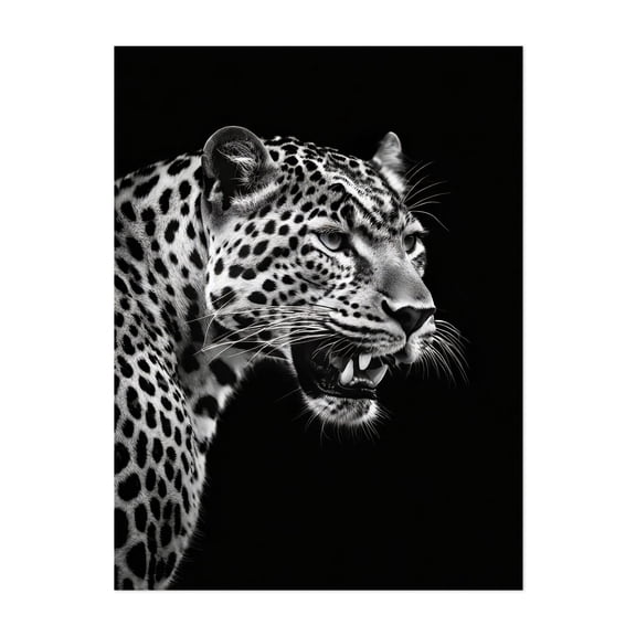 Leopard - Photography Wildlife Animal Black and White Portrait Nature Jungle Tiger Unframed Wall Art Print 20 x 24 inches