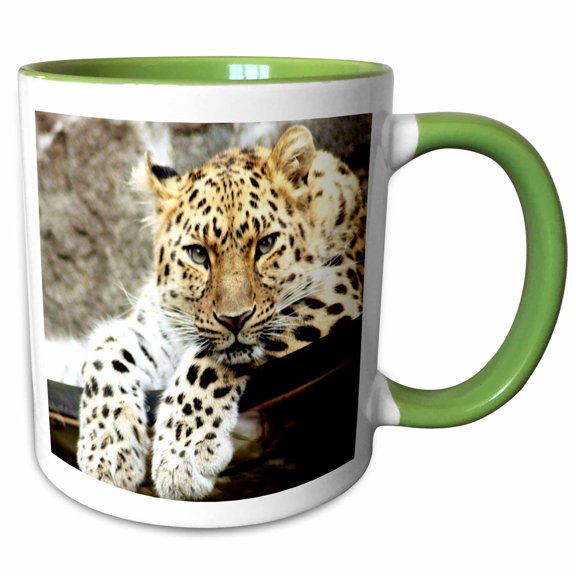 3drose, Leopard. Popular Image, 11oz Two-tone Green Mug