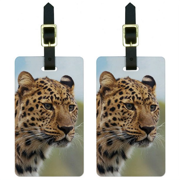 Leopard Portrait Big Hunting Cat Luggage Tags Suitcase CarryOn ID, Set