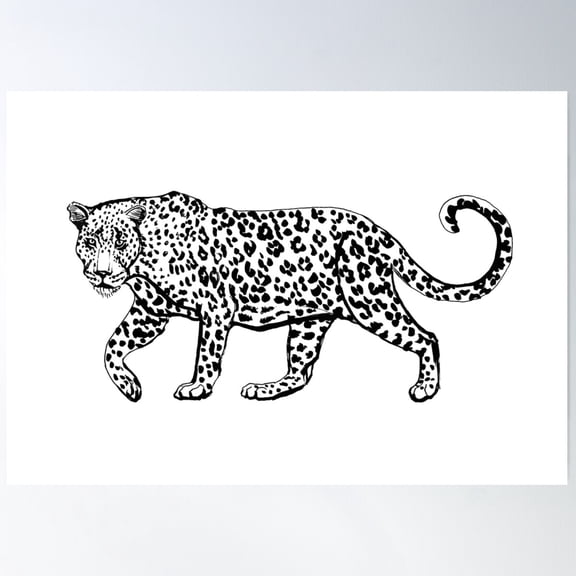 Leopard Poster Wall Art, Modern Wall Decor For Living Room Bedroom, 8x12 UNFRAMED