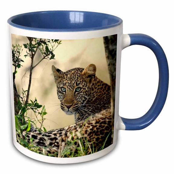 3drose, Leopard Resting Beneath Tree, Maasai Mara, Kenya - Af21 Aje0796 - Adam Jones, 15oz Two-tone Blue Mug