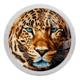 thumbnail image 1 of Leopard Round Glow-in-the-Dark Cabinet Knobs with Screws - 4 Pack | Fluorescent Drawer Pulls | Suitable for Cabinets, Wardrobes, and Dressers, 1 of 6