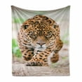 thumbnail image 1 of Leopard Soft Flannel Fleece Blanket, Jungle Fauna Predator Cat Wildlife African Desert Safari on Blurred Backdrop, Cozy Plush for Indoor and Outdoor Use, 50" x 70", Yellow and Beige, by Ambesonne, 1 of 6