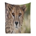 thumbnail image 1 of Leopard Soft Flannel Fleece Throw Blanket, Close up Image of Cheetah with Deep Brown Eyes on a Blurred Background Wildlife, Cozy Plush for Indoor and Outdoor Use, 50" x 70", Multicolor, by Ambesonne, 1 of 6