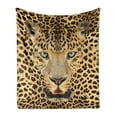thumbnail image 1 of Leopard Soft Flannel Fleece Throw Blanket, Predator Animal with Spotty Skin and Angry Expression Wild Fauna, Cozy Plush for Indoor and Outdoor Use, 50" x 60", Brown and Pale Brown, by Ambesonne, 1 of 6