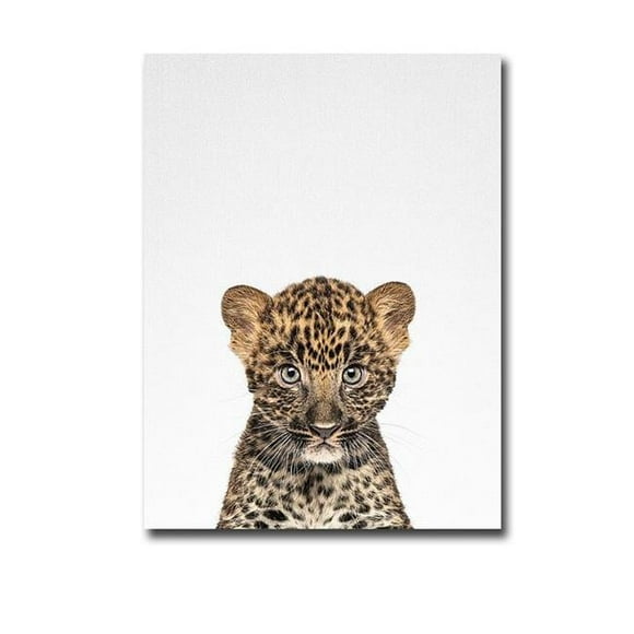 Leopard by Tai Prints Premium Gallery-Wrapped Canvas Giclee Art - 12 x 16 x 1.5 in.