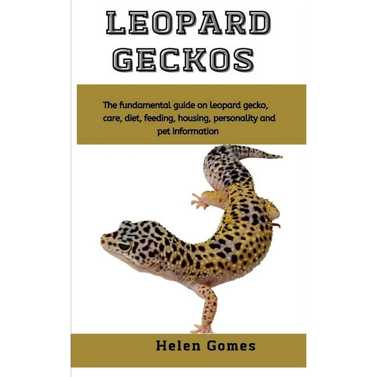 A Guide to Pet Geckos  