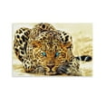 thumbnail image 1 of Leopard with Bright Blue Eyes Canvas Art Poster And Wall Art Picture Print Modern Family Bedroom Decor Posters,Unframe-style,12x18inch(30x45cm), 1 of 8