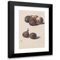 thumbnail image 1 of Leopold Zinnögger 11x14 Black Modern Framed Museum Art Print Titled - Figs and Peaches (1833), 1 of 5