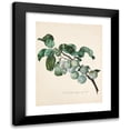 thumbnail image 1 of Leopold Zinnögger 15x18 Black Modern Framed Museum Art Print Titled - Ringlottenzweig (1852), 1 of 5