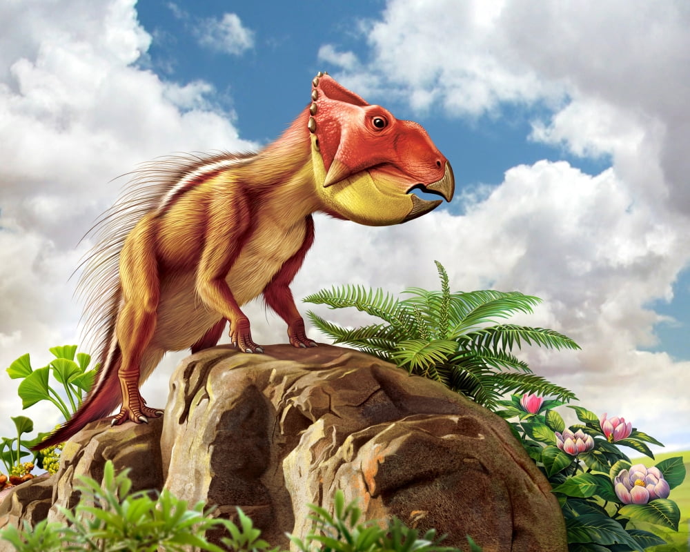 Leptoceratops and his favorite plants Canvas Art - Mohamad HaghaniStocktrek Images (32 x 26)