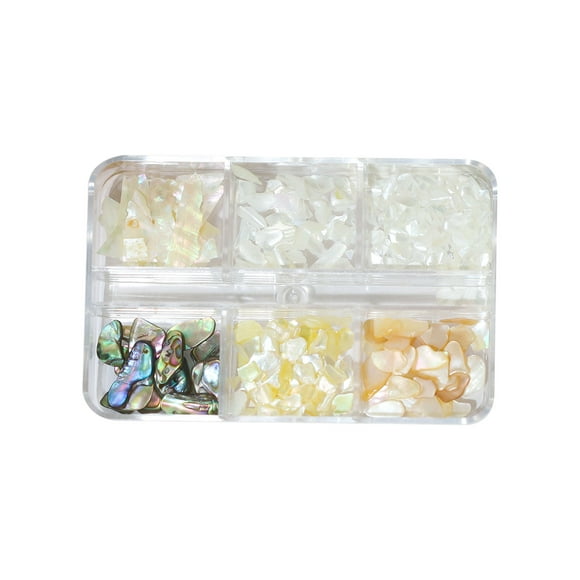 Lerpwige 6 Colors Nail Art Decorations Seashell Flakes 3D Gel Nail Art Abalone Slices Gems Colorful for Shell Nail Art Glitter Fl