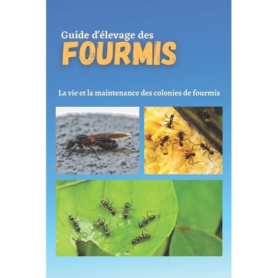 Les Animaguide: Guide d'élevage des fourmis : La vie et la maintenance des colonies de fourmis (Paperback)