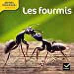 Les Docs Ribambelle Cycle 2 Ed. 2014 - Les Fourmis